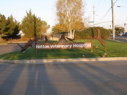 Hatton Veterinary Hospital Outside Area